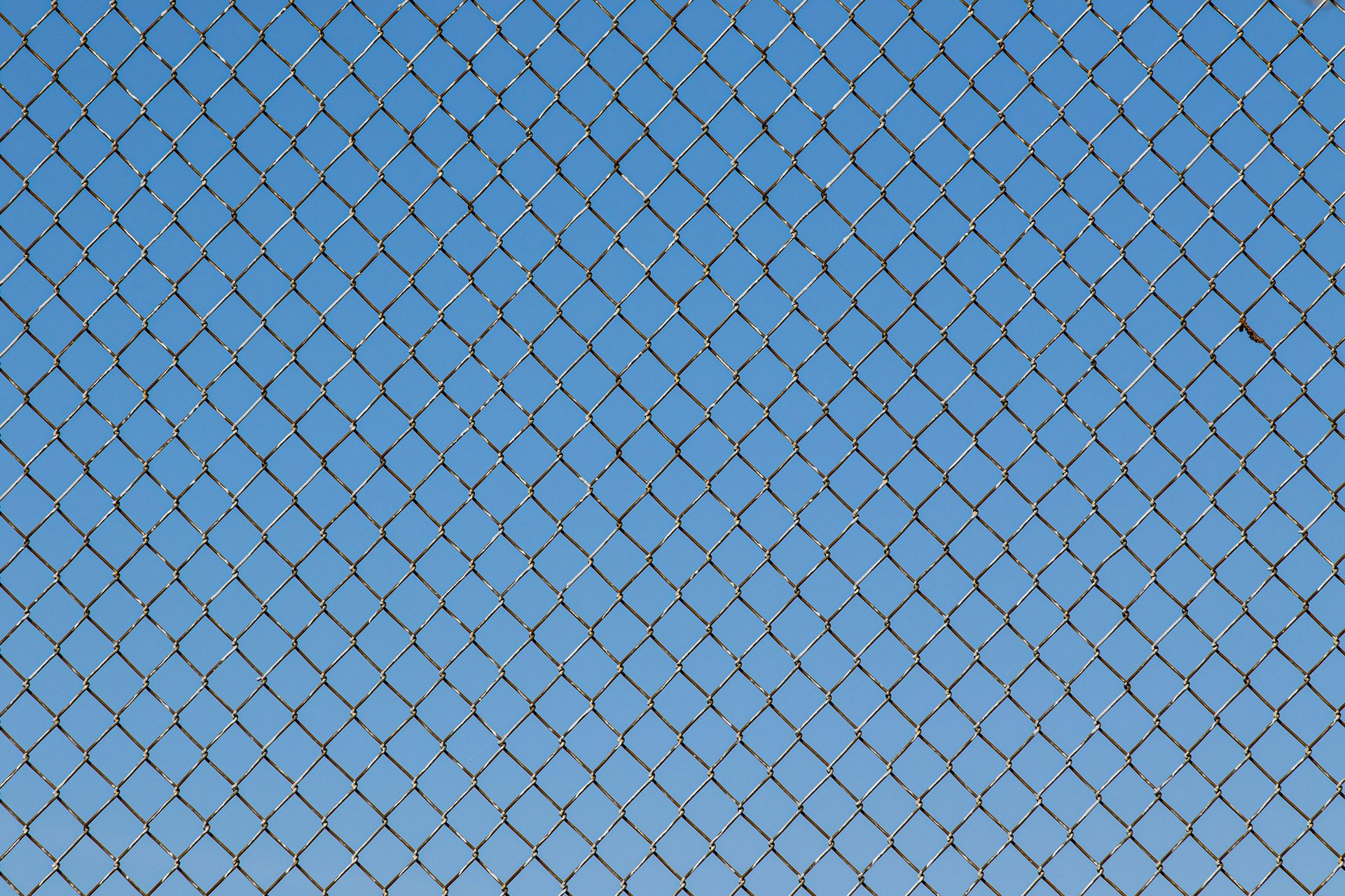 blue and white net during daytime